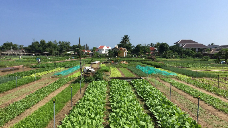 Hoi An Tourism