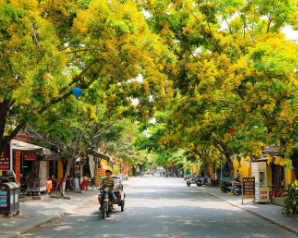 Taste the soul of Hoi An through Autumn flavors