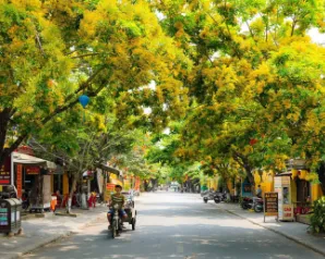 Taste the soul of Hoi An through Autumn flavors