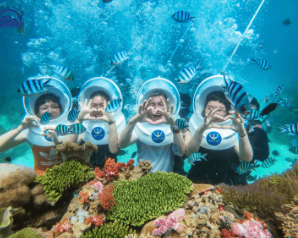 Snorkeling Cham Island by day and embracing Hoi An charm by night