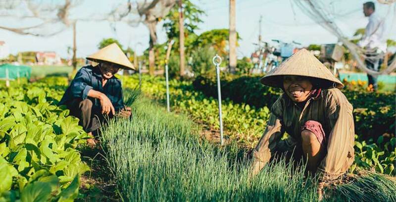 Hoi an travel in Vietnam Reunification