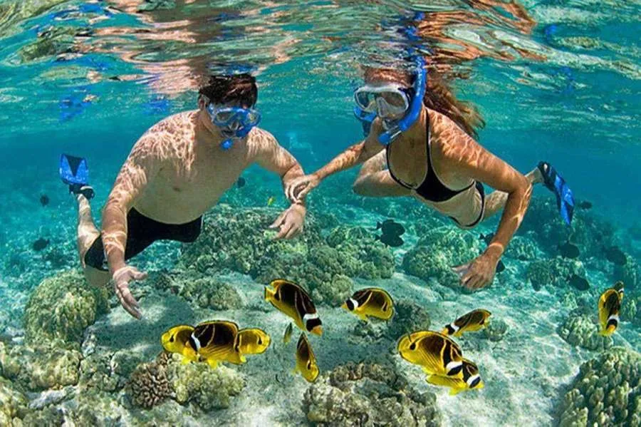 Cham Island Snorkeling Tour