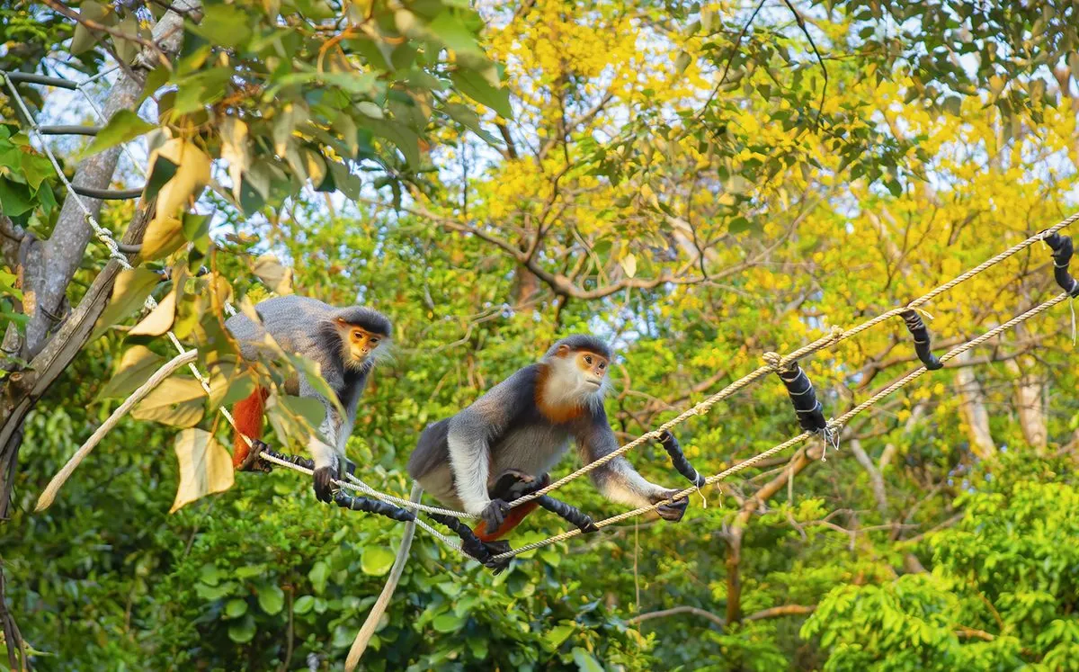 Marble Mountain – Am Phu Cave – Monkey Mountain Tour