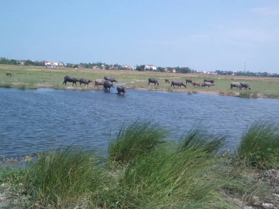 Cooking Class & Fishing Tour