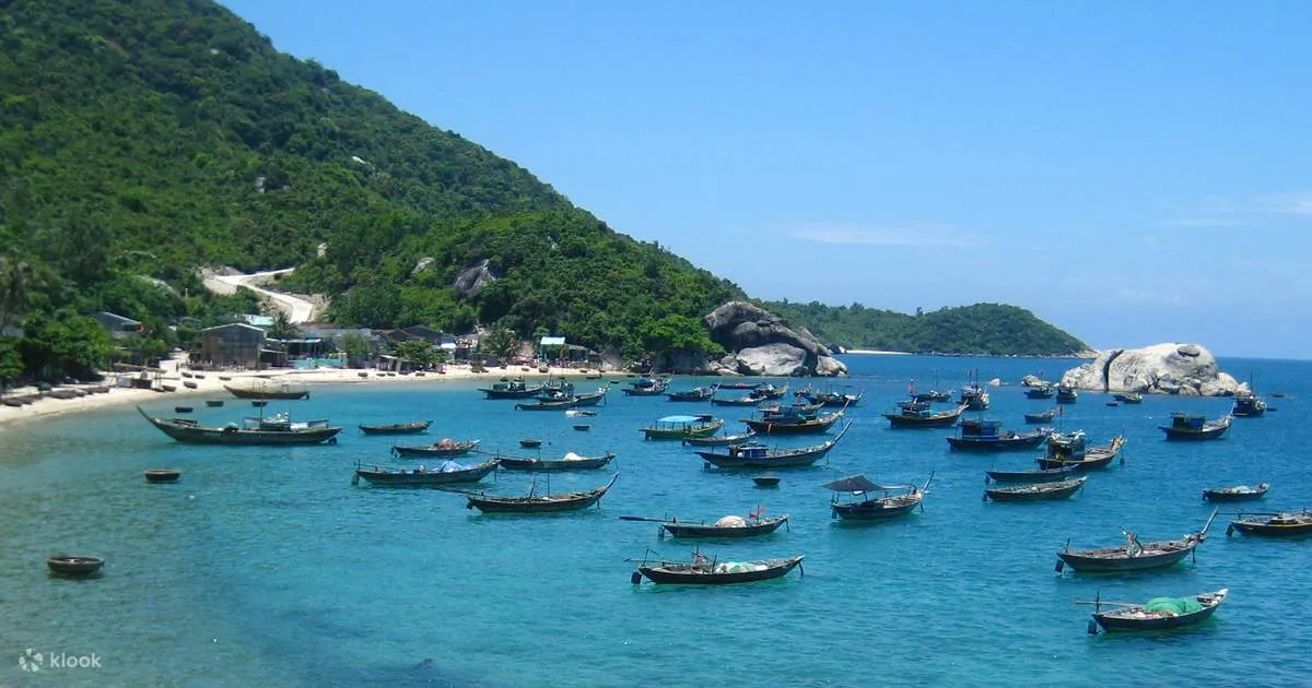 Cham Island Snorkeling Tour